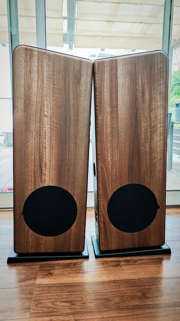 オーディオ プロ audiopro AVANTO FS-20 ペアセット