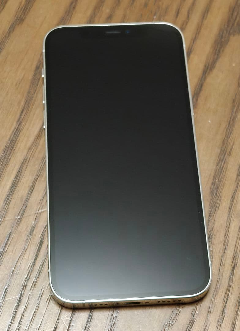雪　Apple iPhone 12 Pro シルバー 本体