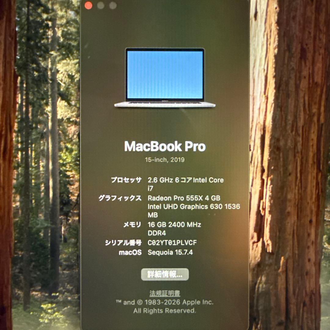 【完動品】MacBook Pro 15インチ 2019年 256GB 16GB