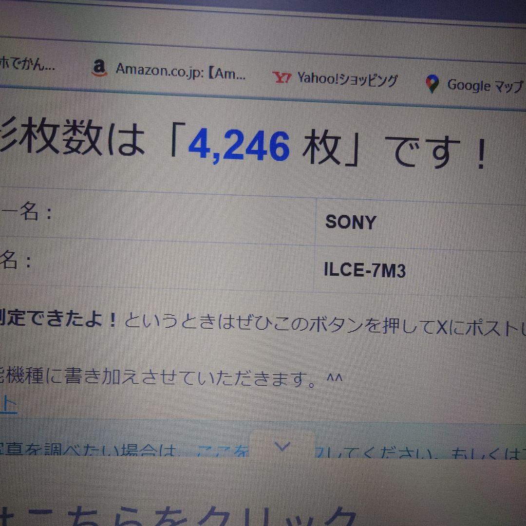 sony　α7III　ショット数4246枚