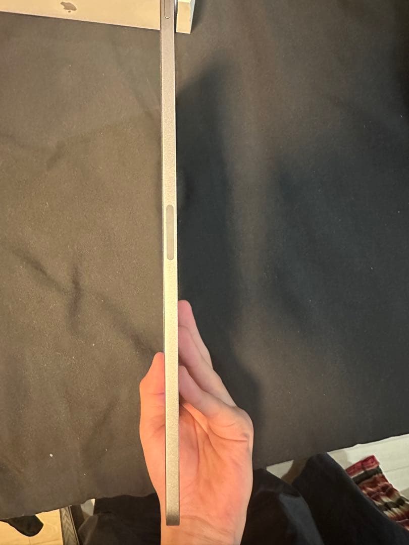 iPad Pro 12.9インチ第6世代 256GB