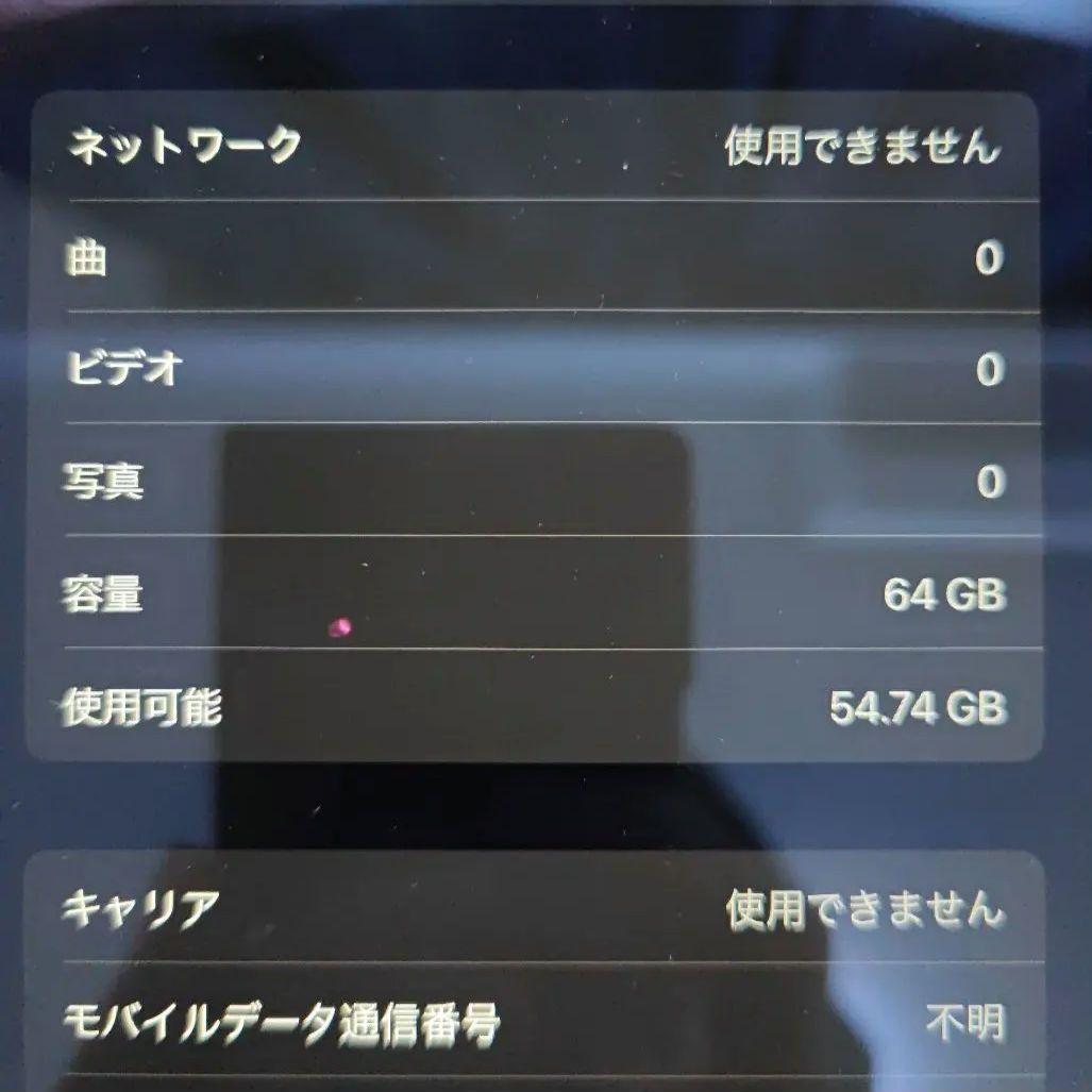 Apple iPad Air2 スペースグレー WiFi＋Cellular