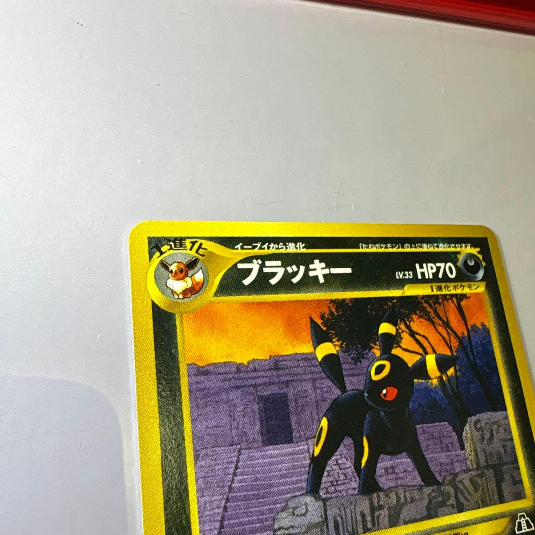 美品ブラッキー 旧裏 プレミアムファイル2 ★neo 遺跡をこえて