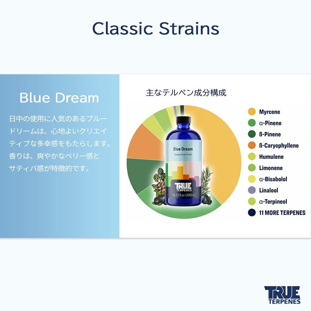 TRUE テルペン 510 CBD CBN CBG 10ml ブルードリーム