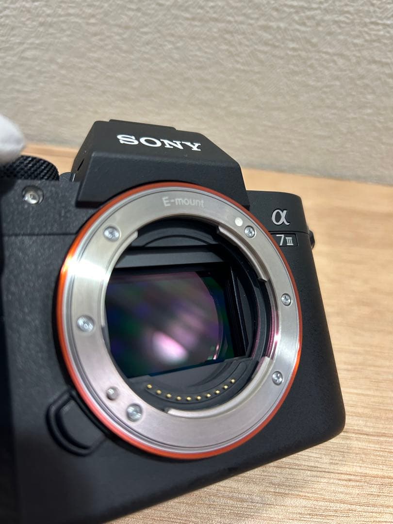 Sony a7iii 標準ズームキット