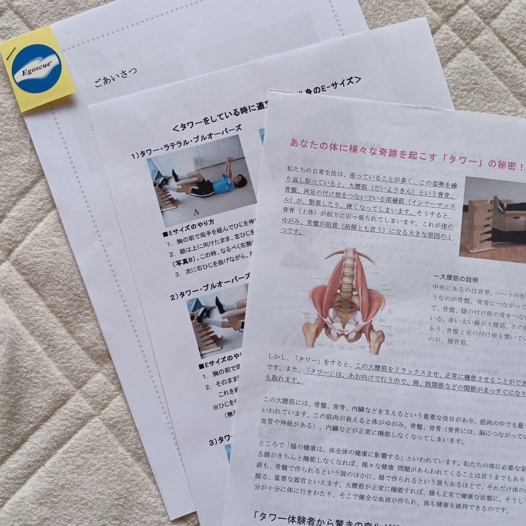 エゴスキュー　タワー　egoscuejapan