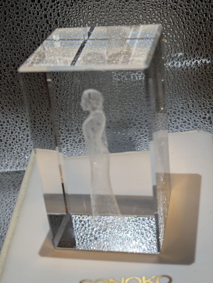 鈴木その子　3Dクリスタルアート