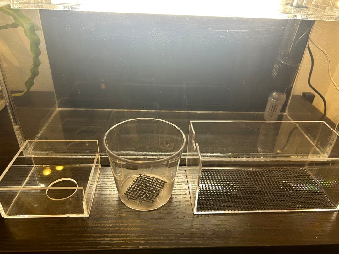 【訳あり品】アクアポニックス水槽アクアリウムにも最適！