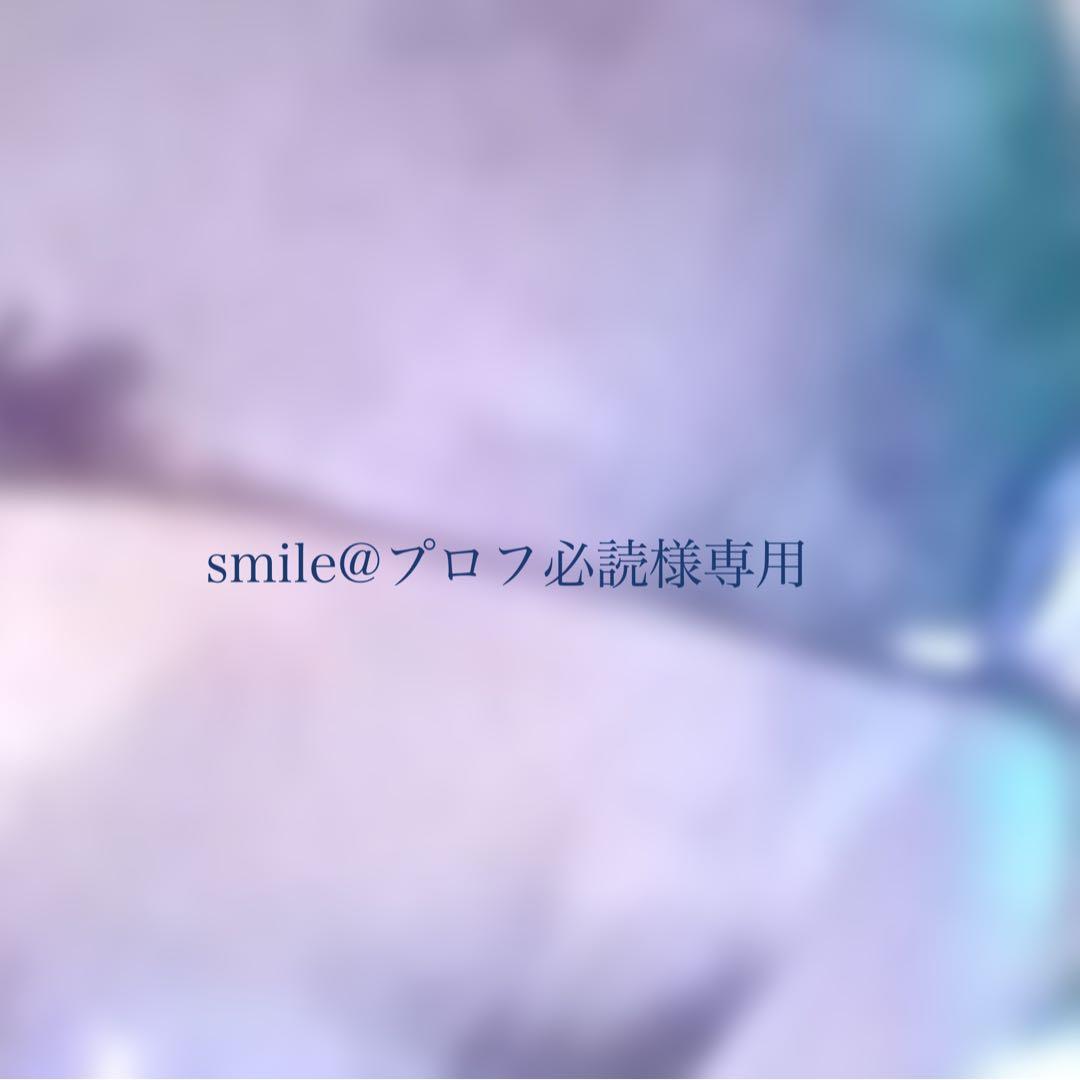 smile@プロフ必読/まとめ商品/7点/鉱物レジン/イヤリング