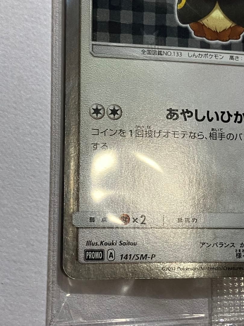 ポンチョイーブイ　ブラッキー