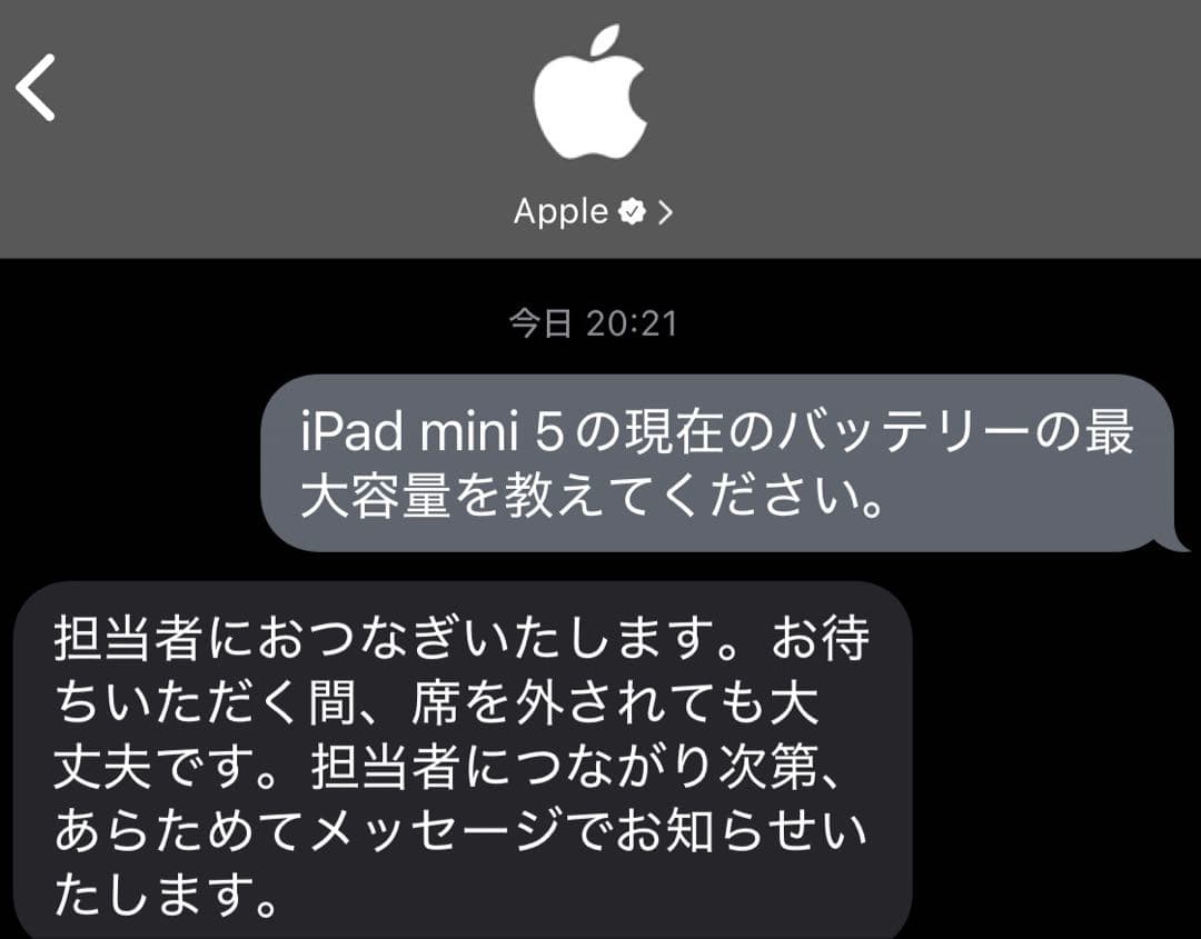 【美品】iPad mini (第5世代)Wi-Fi版 64GB シルバー