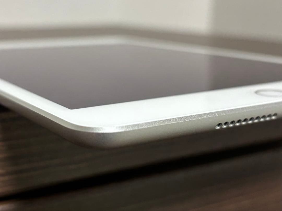 【美品】iPad mini (第5世代)Wi-Fi版 64GB シルバー