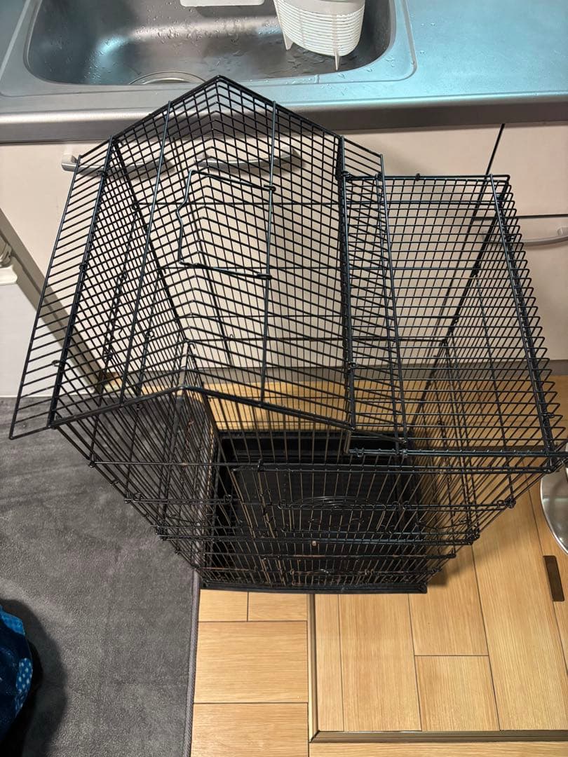 黒いメタル鳥かご 高さ約100cm