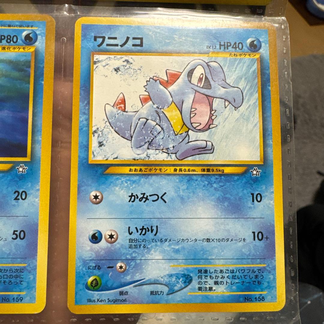 旧裏面　ポケモンカード　メガニウム　バクフーン　オーダイル