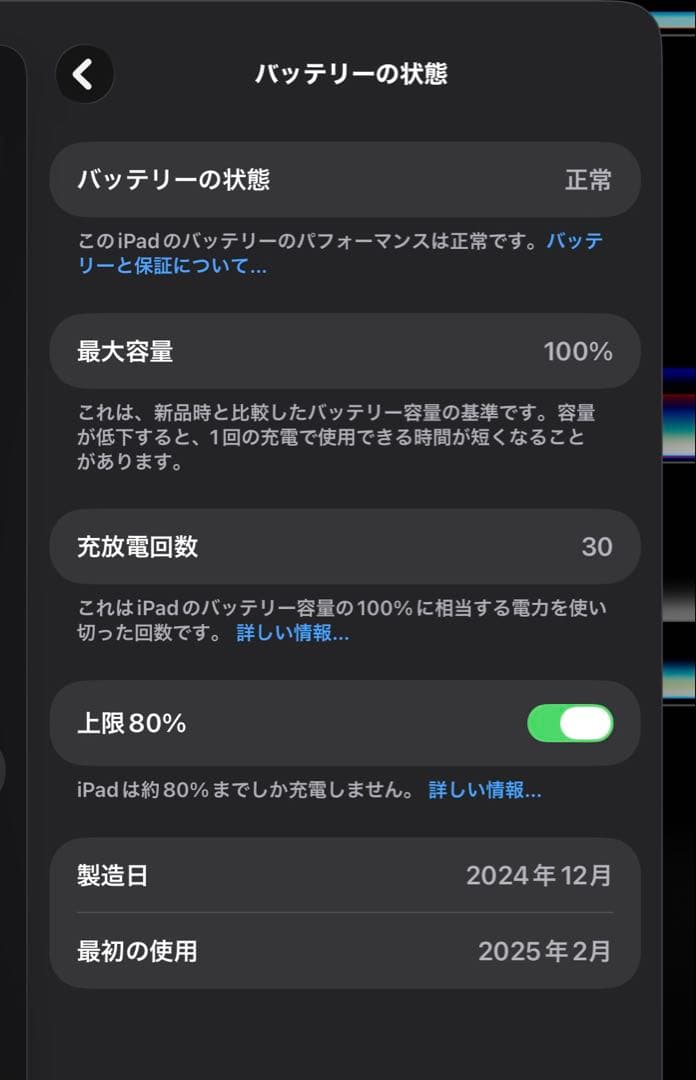 Apple 13インチ iPad Pro (M4) 256GB MVX23J/A