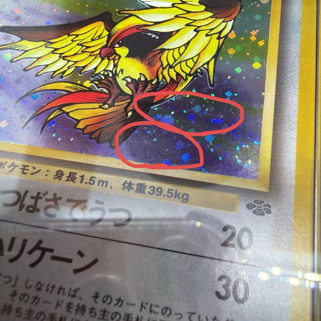 【PSA8】旧裏　ピジョット　ポケモンジャングル