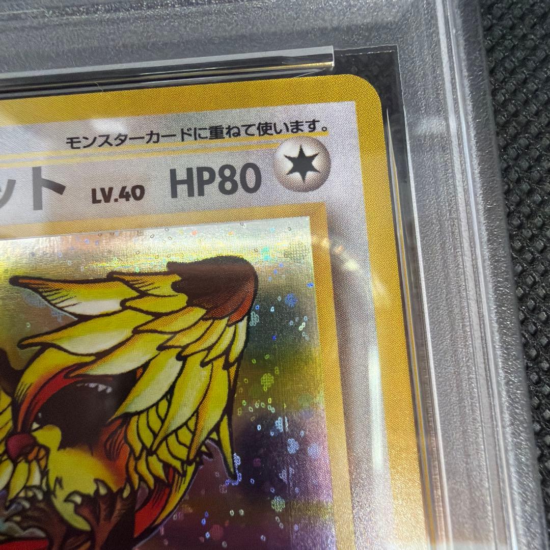 【PSA8】旧裏　ピジョット　ポケモンジャングル