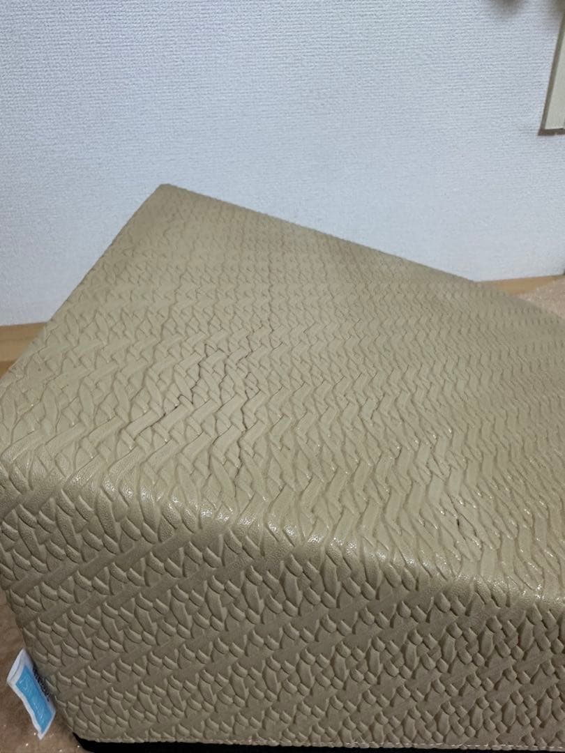 早い者勝ち フレックスクッション　サンテプラス
