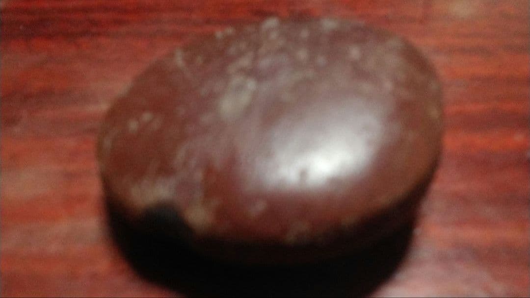 昭和レトロビンテージコレクション(珍しい化石のような種)いいね値引きタイムセール