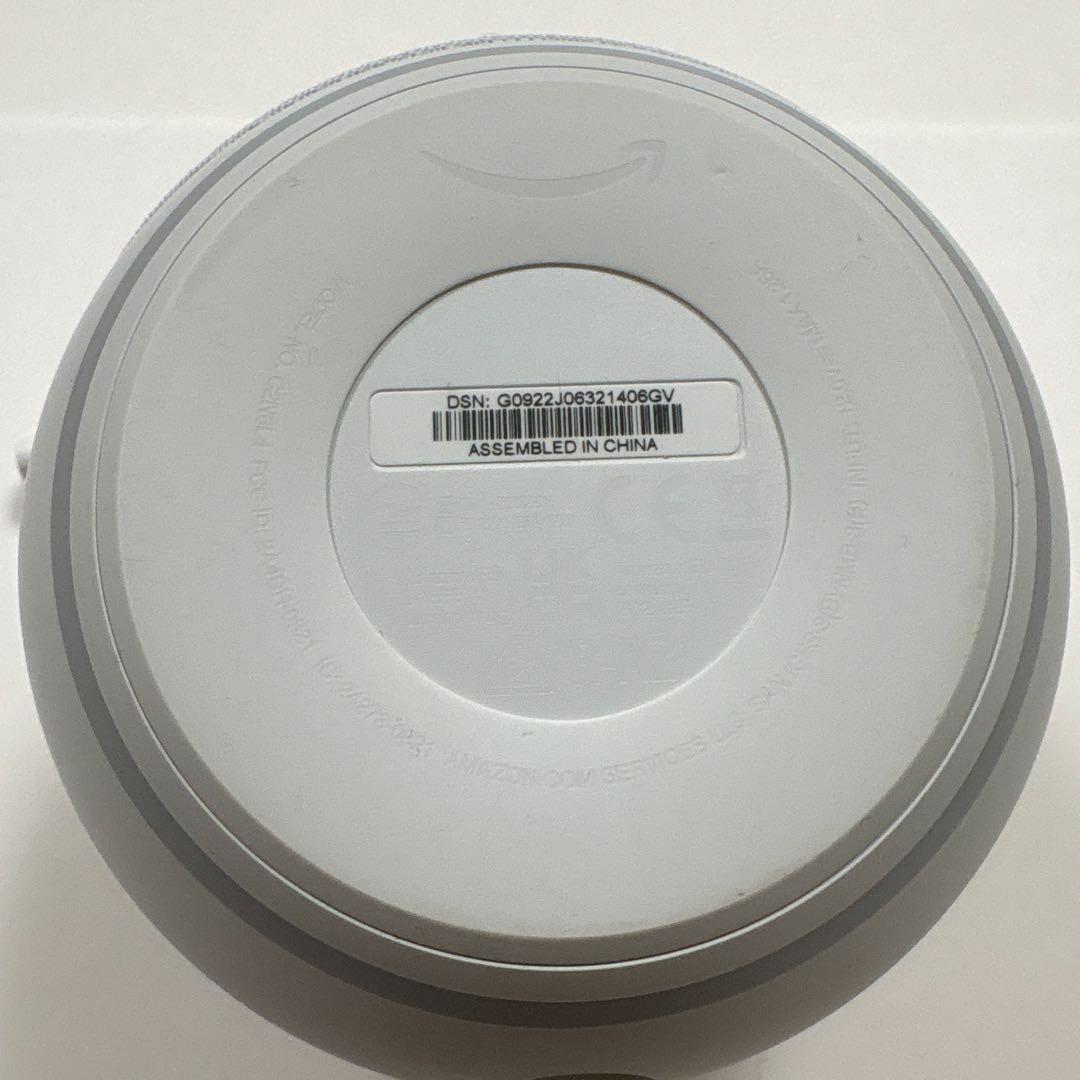 2個ペアEcho Dot with clock とEcho dot 第五世代