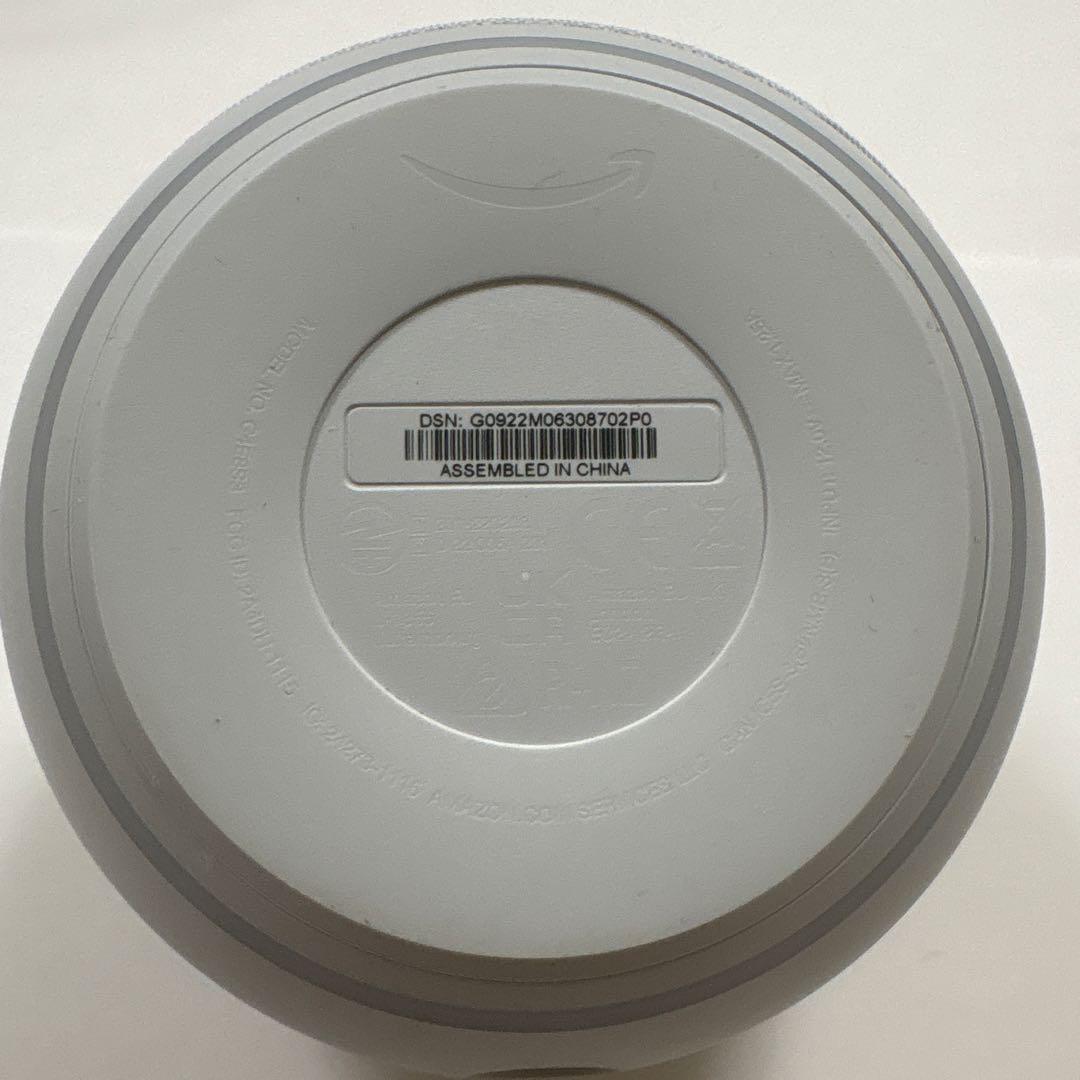 2個ペアEcho Dot with clock とEcho dot 第五世代