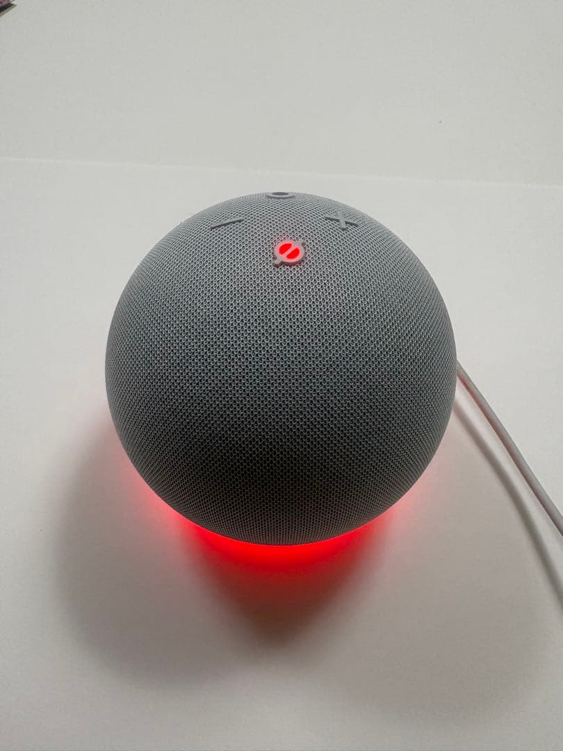 2個ペアEcho Dot with clock とEcho dot 第五世代