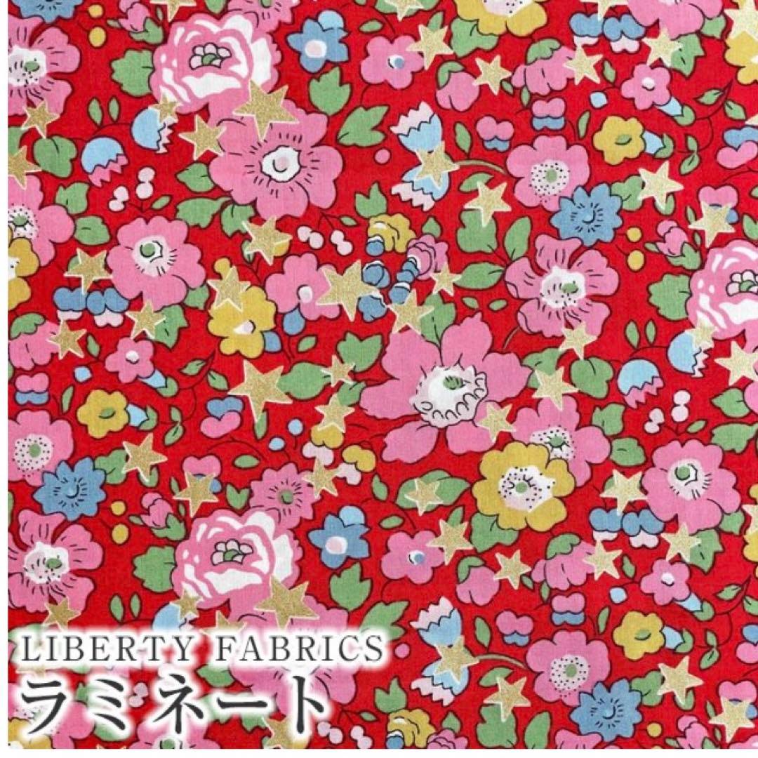 ラミネートバッグ