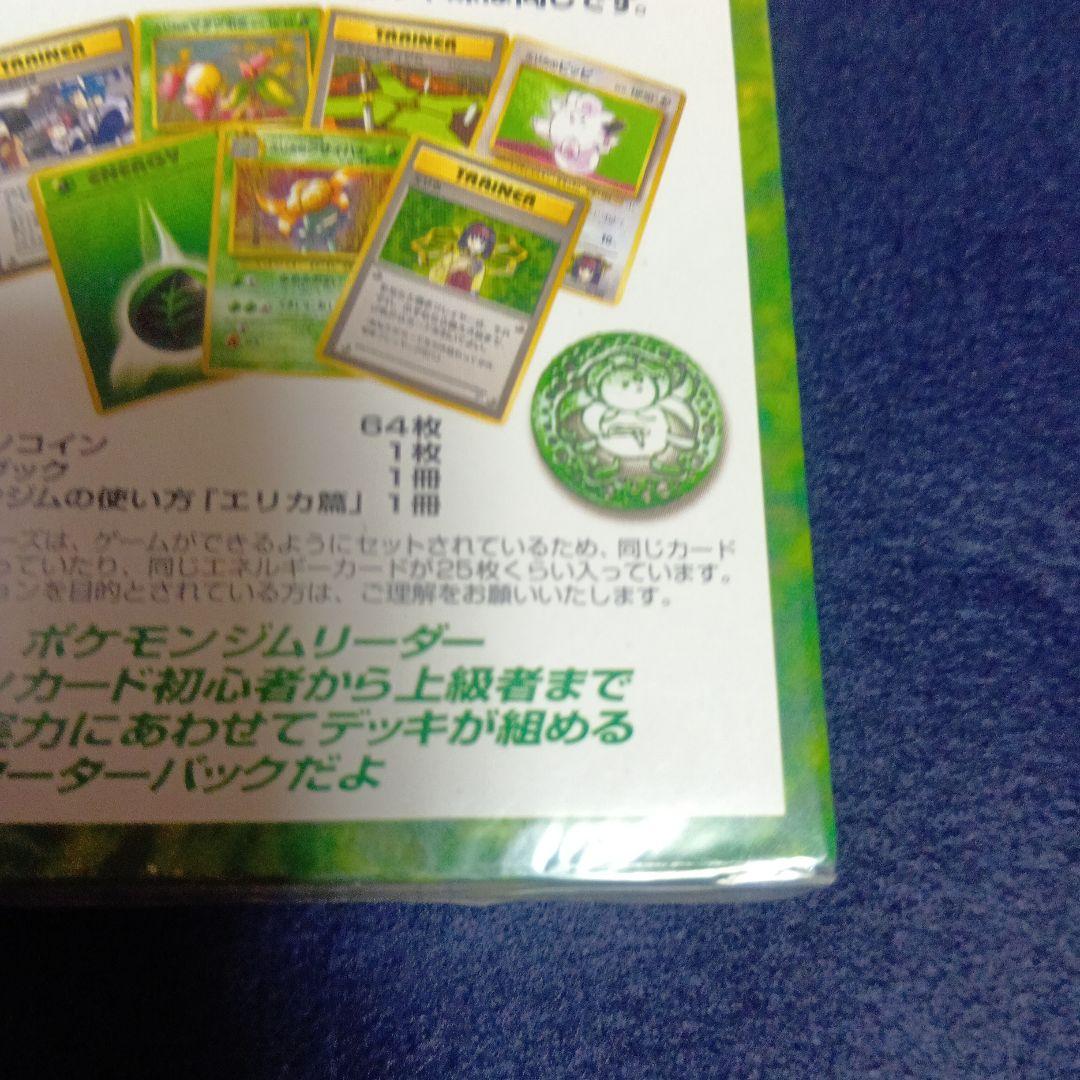 ふ*ぅ様 タマムシシティジム　エリカ