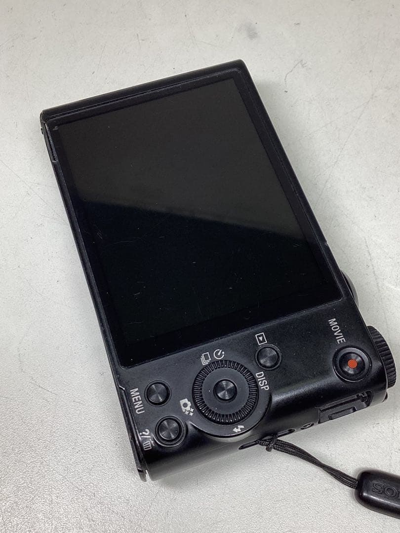SONY Cyber-shot DSC-WX350 撮影可能
