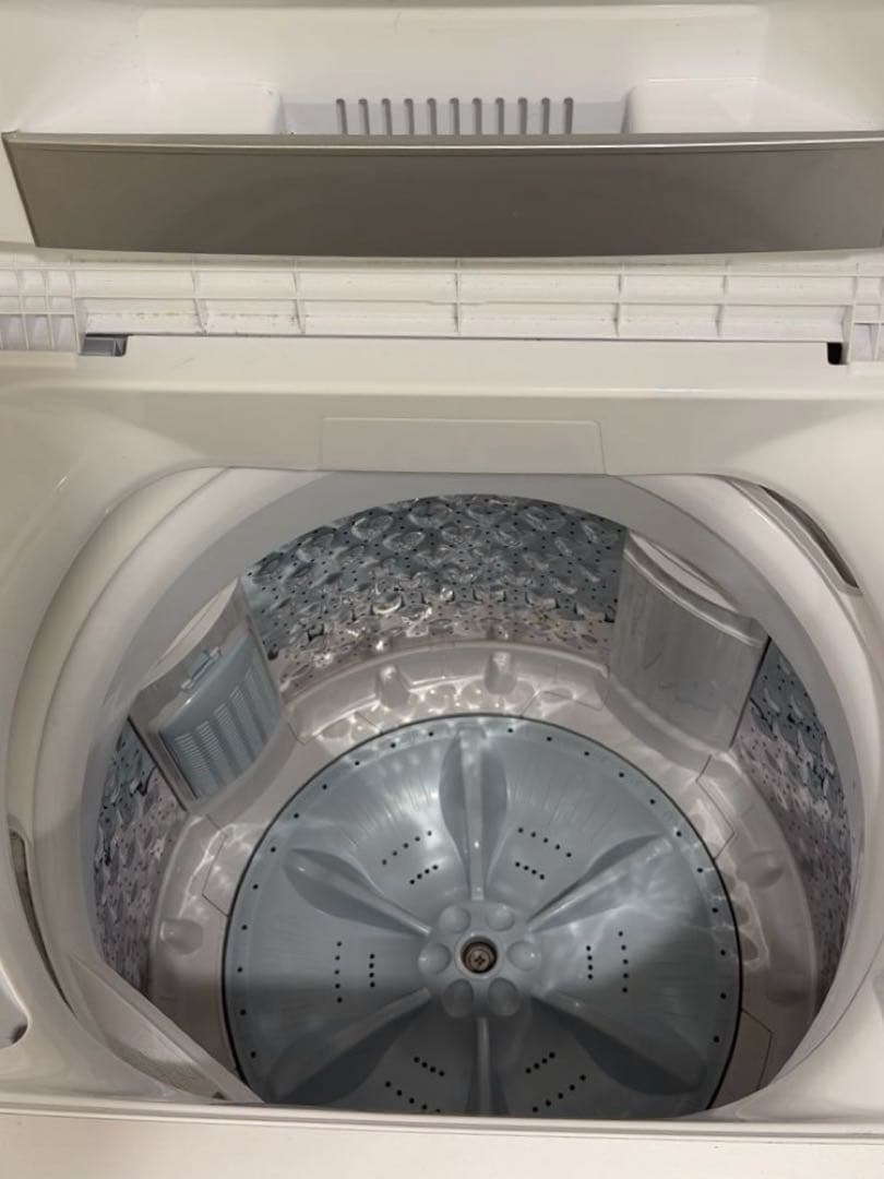 東芝 Double Shower Wash 4.5kg (3月25日まで)