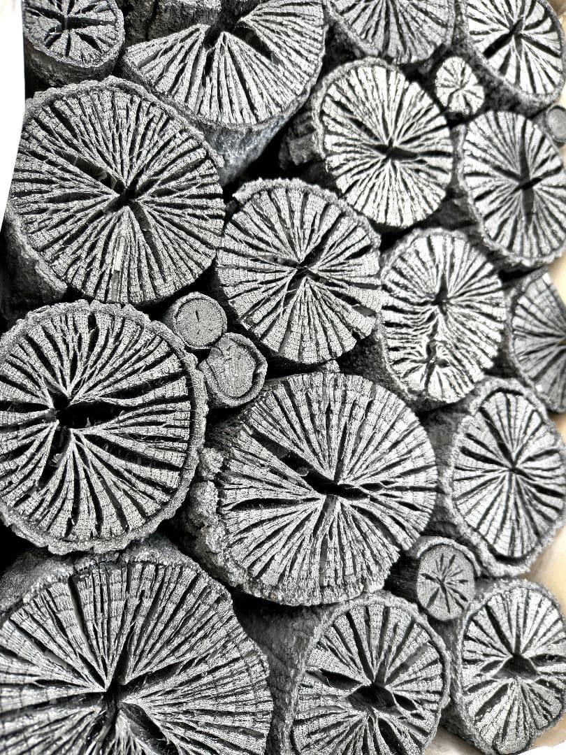 mumu【 伊予の切炭 】約6kg 菊炭 黒炭 太め