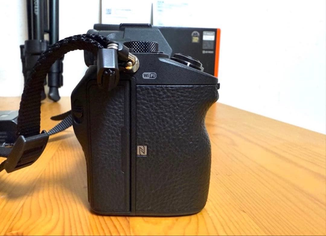 SONY α7Ⅲ + Sony Lens 28-70mm F3,5-5,6
