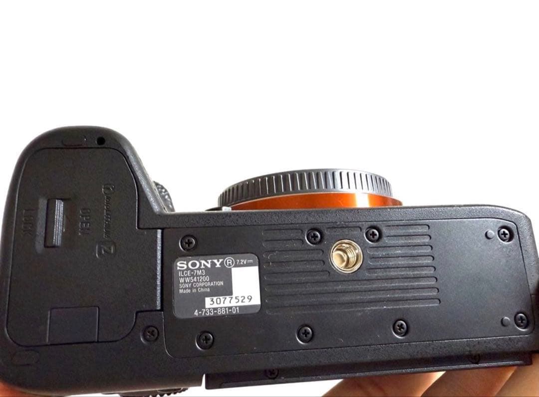 SONY α7Ⅲ + Sony Lens 28-70mm F3,5-5,6