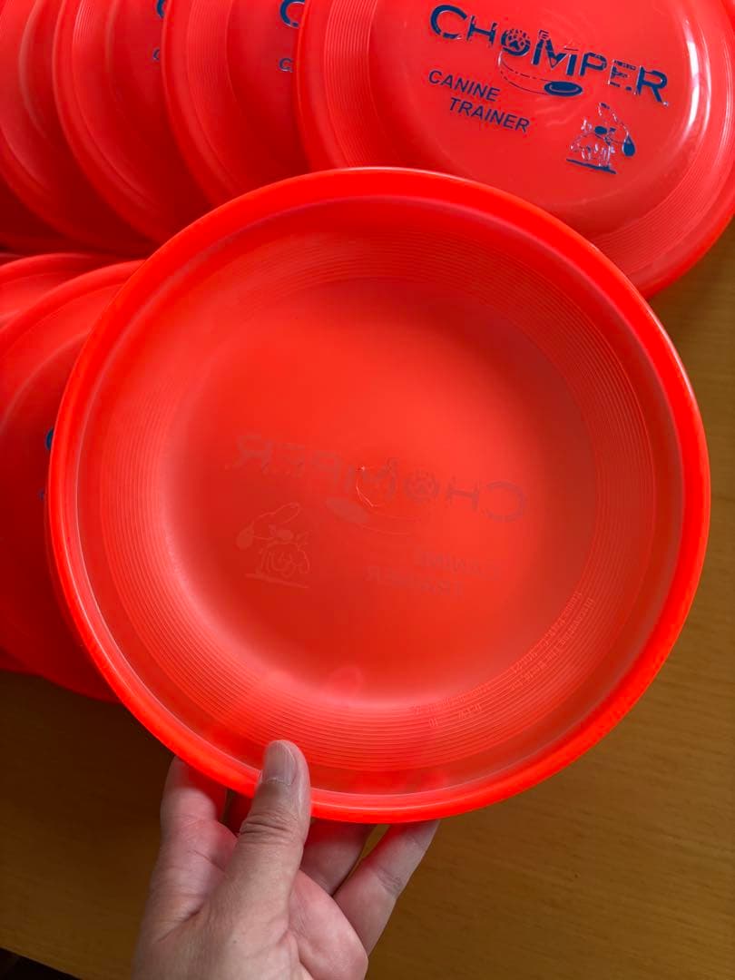 【新品未使用】犬用 ディスク ミスプリント 夏用 オレンジ 10枚