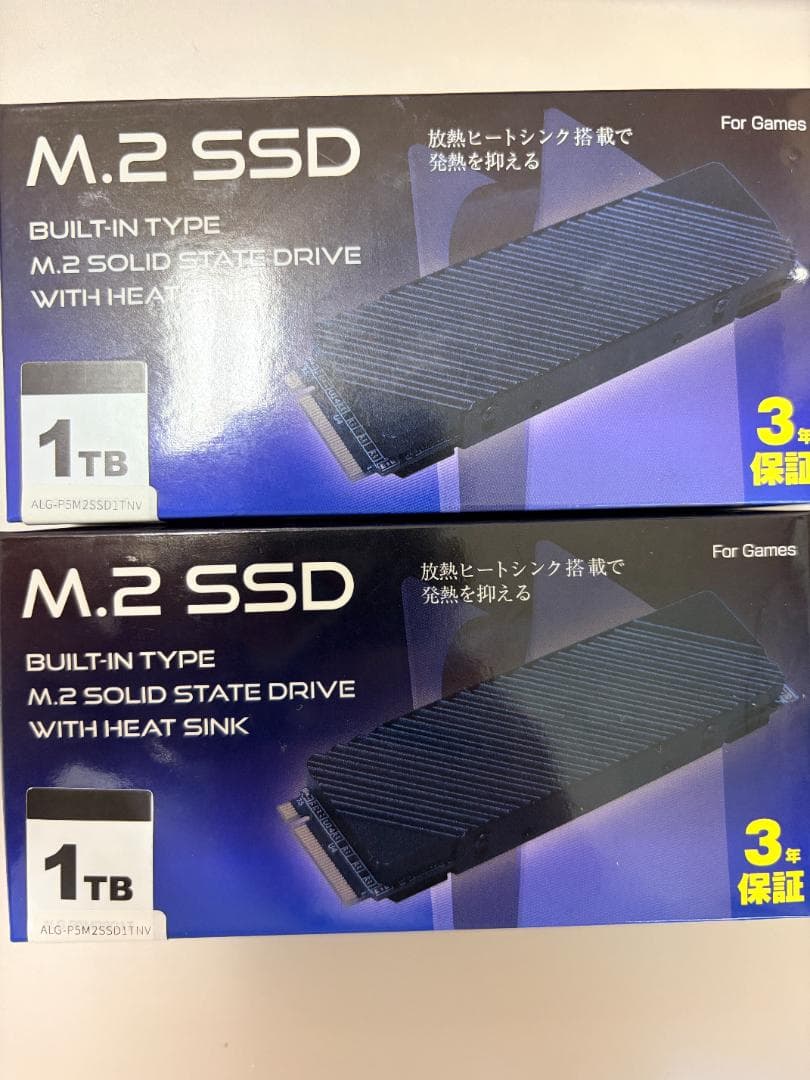 M.2 SSD 1TB ALG-P5M2SD1T 2個