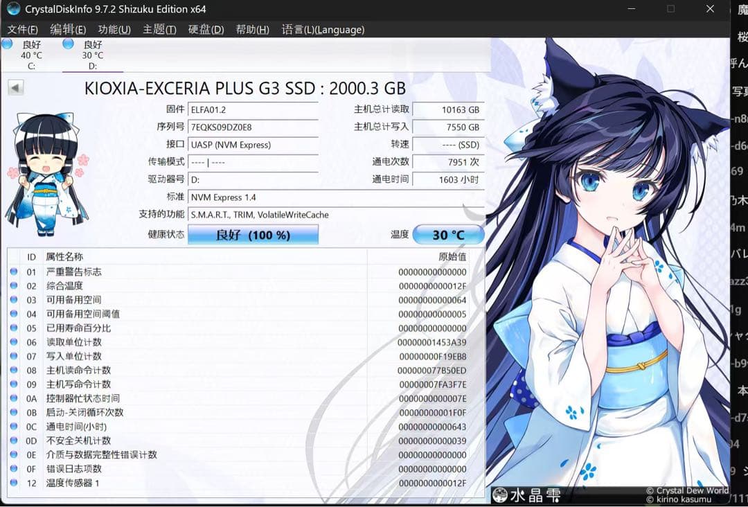 内蔵型SSD KIOXIA EXCERIA PLUS G3 NVMe SSD 2280