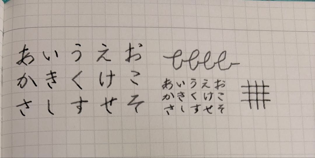 アウロラ　万年筆　富士桜　CE