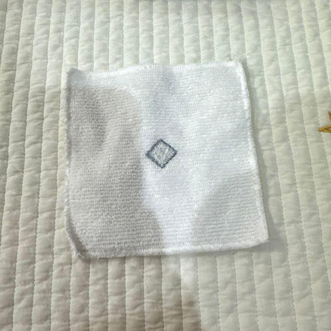 ENVIRON エレクトロソニック DFモバイル スキンケアデバイス