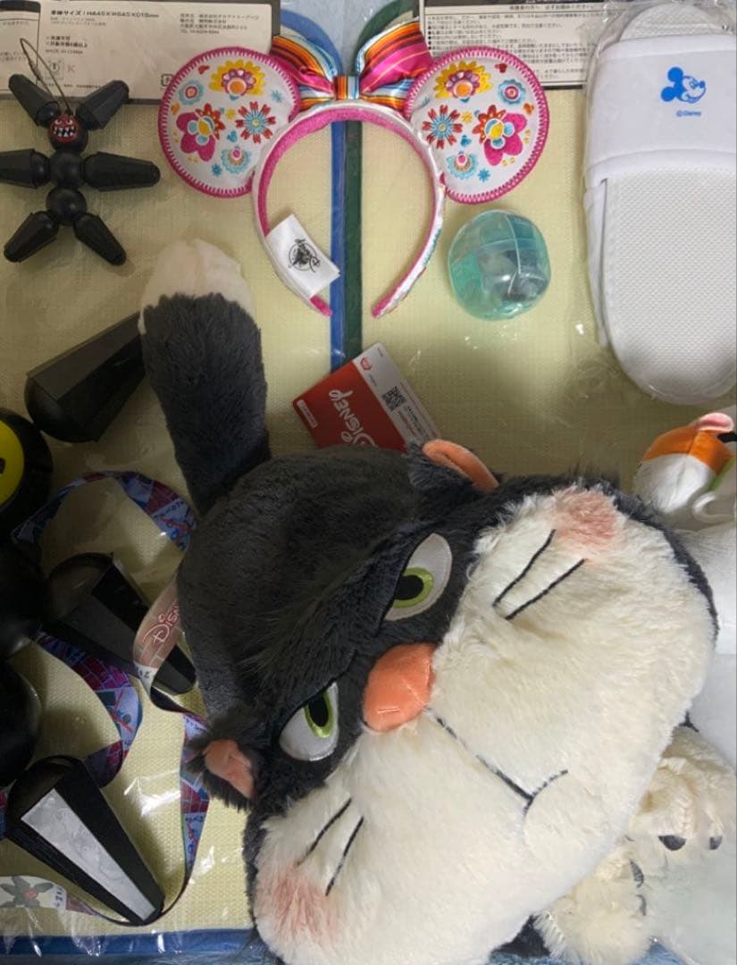 海外ディズニー　ベイマックス　ミラベル　ラプンツェル　ロルカナ　アナ雪