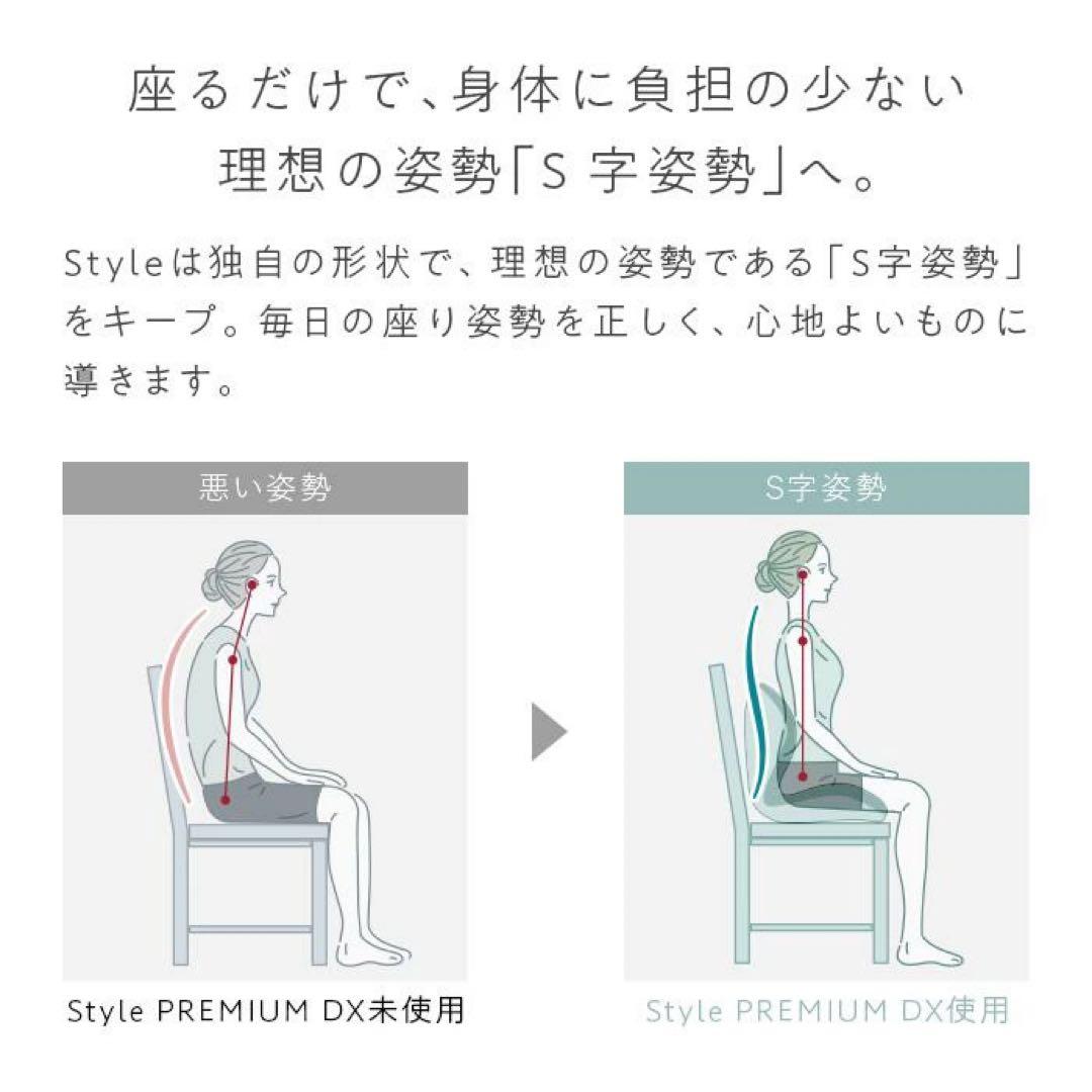 Style PREMIUM DX （スタイルプレミアムデラックス）