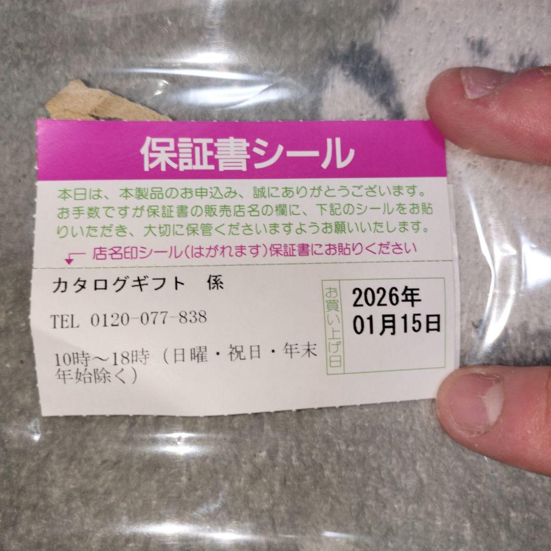 【保証書あり未使用品】 ReFa リファカールヘアアイロン 32 2025年製