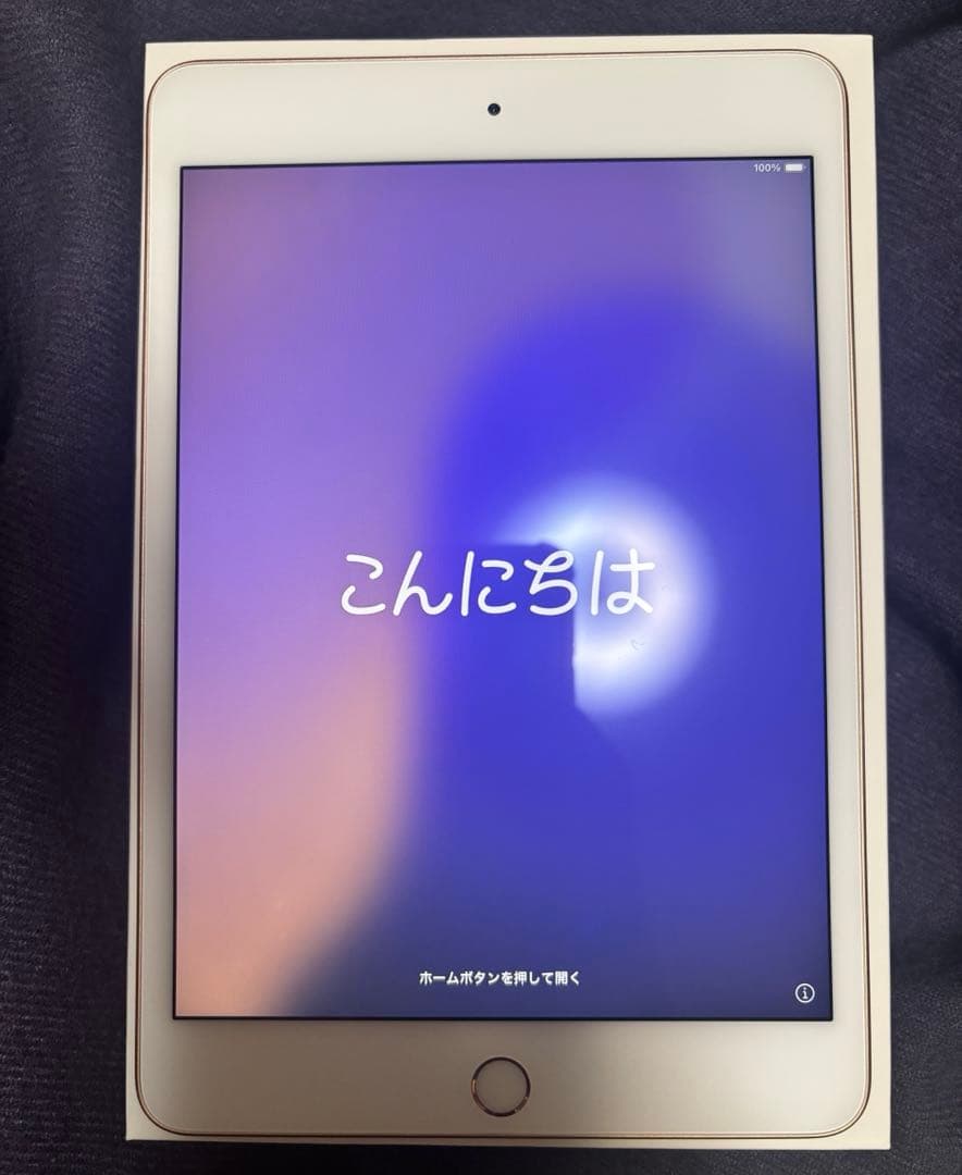 iPad mini 第五世代ローズゴールド