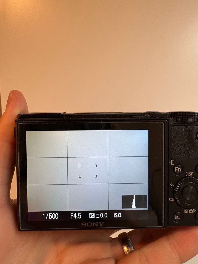 SONY RX100 M5 充電器付き コンパクトデジタルカメラ