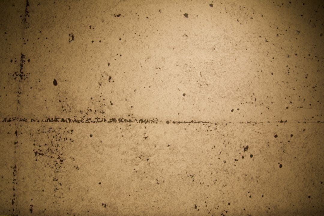 Canon 5DMark4 (バッテリーグリップ付き)
