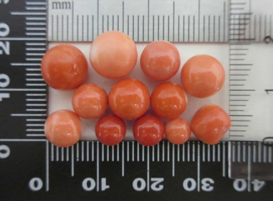桃珊瑚 サンゴ 7g 片穴ルース セット 本珊瑚 s7a