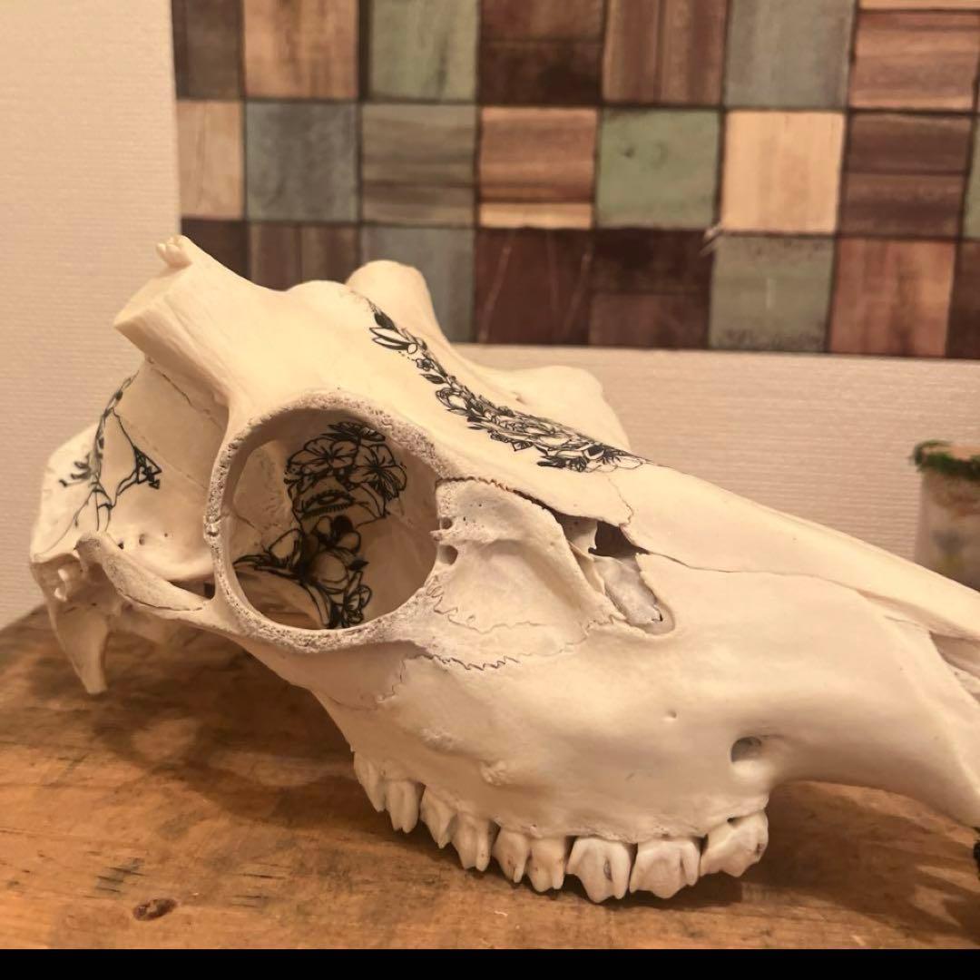 スカル　装飾　オリジナルハンドメイド　アートオブジェ　鹿骨　ヘッドスカル