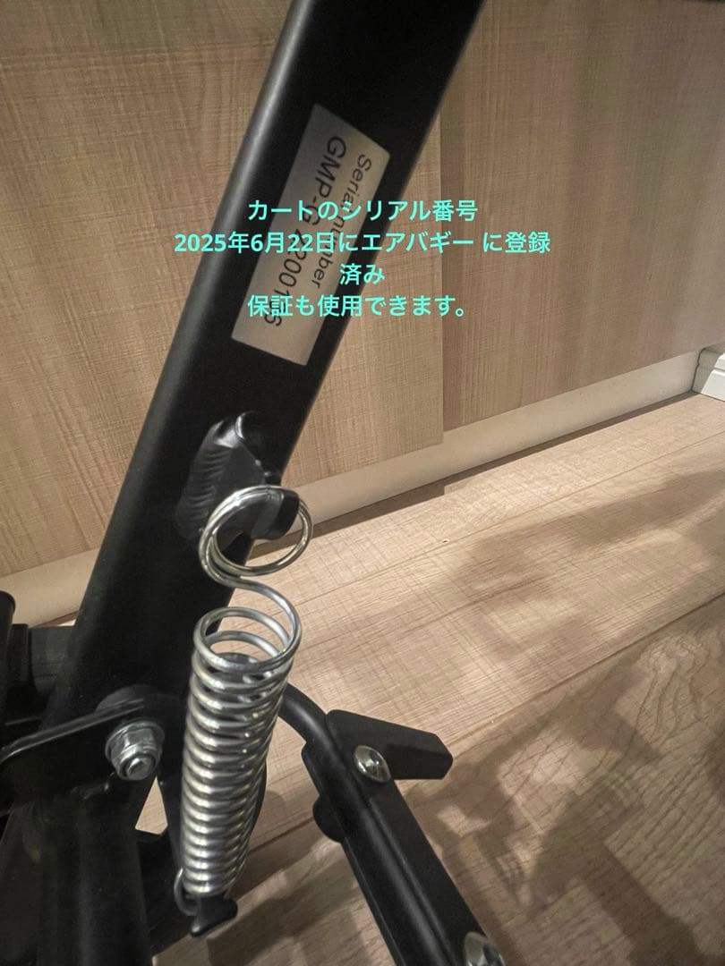 Go walker Air Buggy ★超希少チャルカドットブラック★