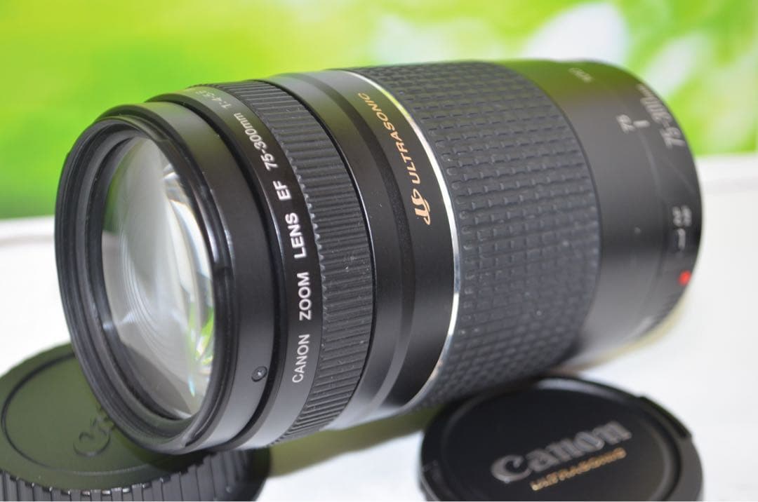 あーこ様★300mm超望遠レンズ★CANON EF 75-300mm