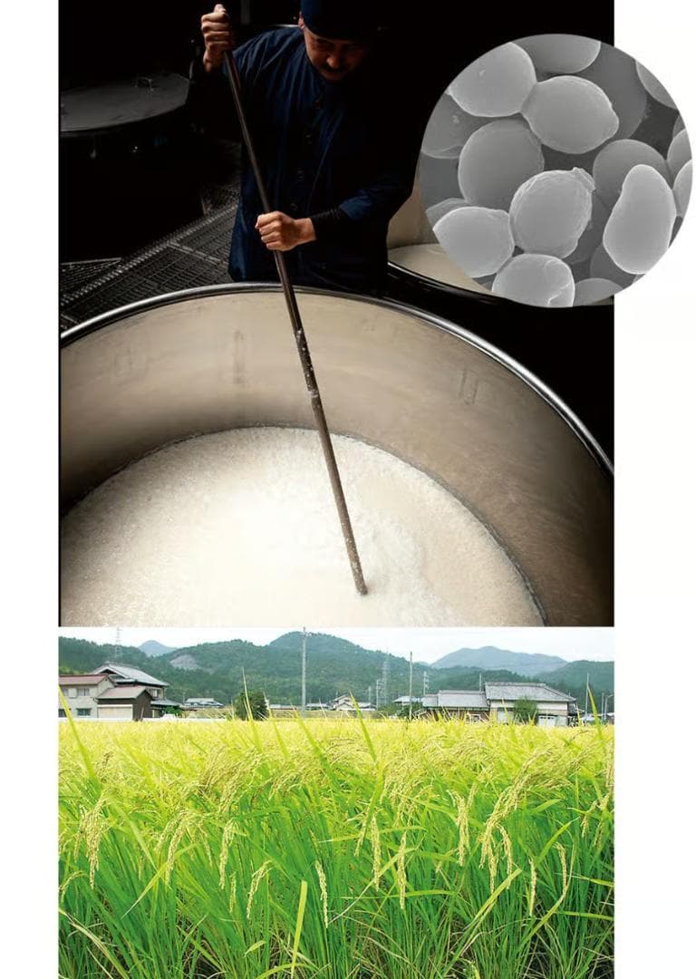 SASAME YUKI モイストエマルジョン 40mL ２セット