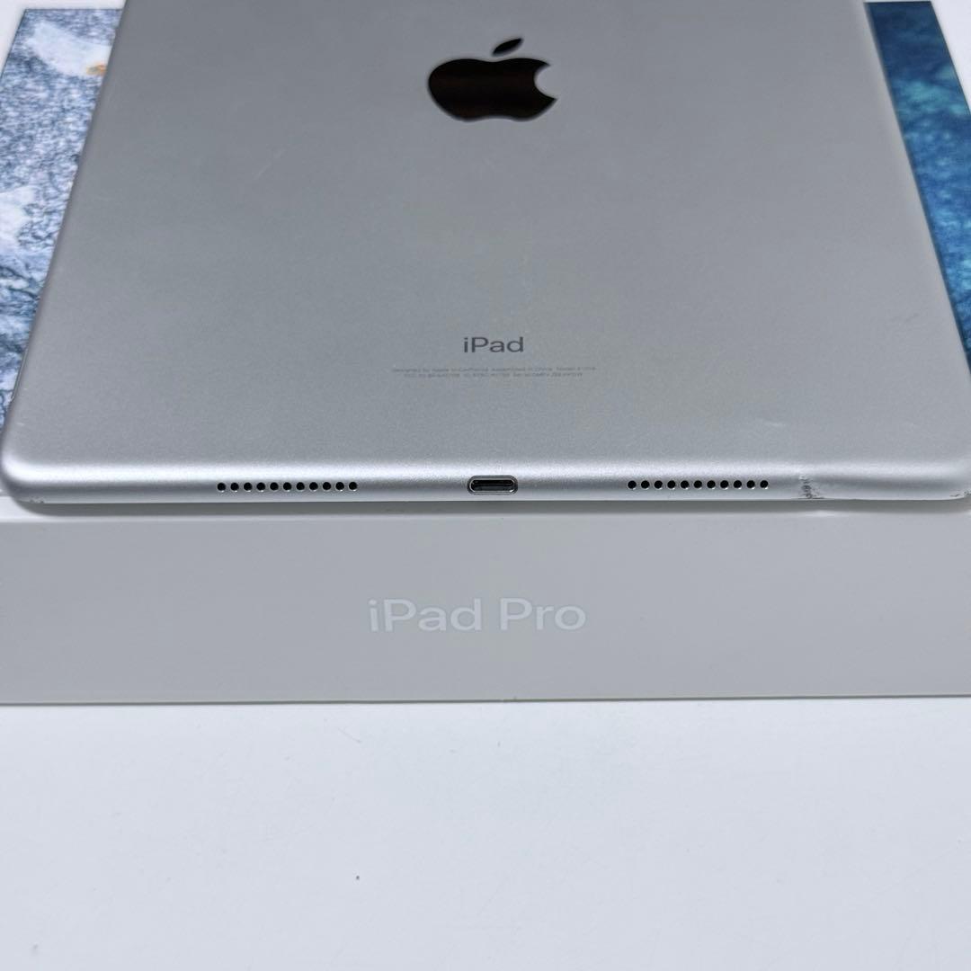 iPad pro 10.5インチ　256GB Wi-Fi+Cellularモデル